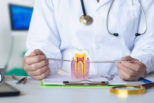 Best Pediatric Emergency Dentist in Perry, KS